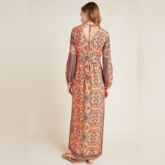 Farm Rio for Anthropologie Clarabella Maxi Floral Dress 🌻 XS - Picture 5 of 16